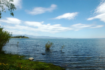 Lago  Ranco paisaje montaña sur de chile campo montañas agua lago naturaleza floress bosques aves cisne cuello negro