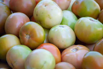 ripe Tomatoes, fully grown.macro