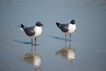 Developed using darktable 2.6.0