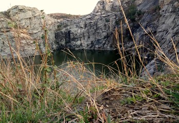 moss on the rocks