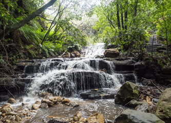 Water cascades over rocks in Blue Mountain National Park, New South Wales, Australia.