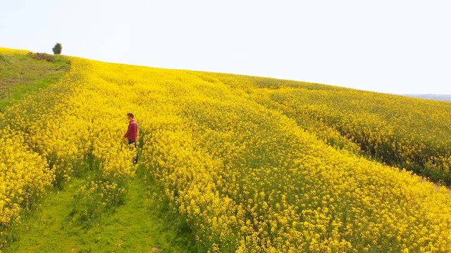 Redhead man standing in mustard field