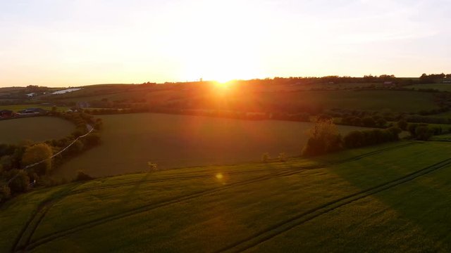 Beautiful field at sunset