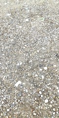 snow on the ground