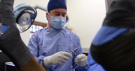 Surgeon operating a horse in operation theater - Powered by Adobe