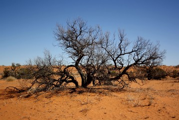 Simpson Desert on the French Line.