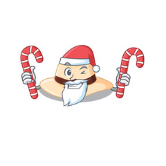 Friendly panama hat dressed in Santa Cartoon character with Christmas candies