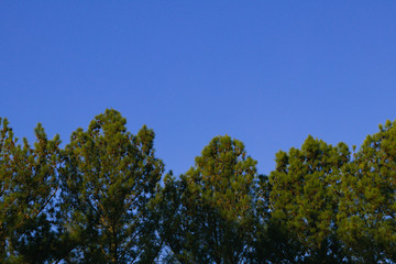 Photographed on BR-153