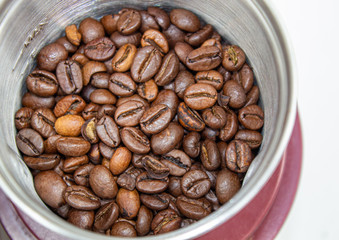 Closeup picture of coffee bean grinder and coffee bean