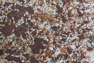 Sheet metal with leftover white paint for backdrop. Flakes and polygons. Strong rust and corrosion, cracks, peeling.