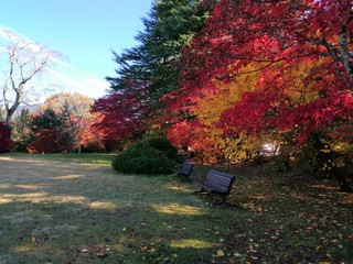 bench in autumn park