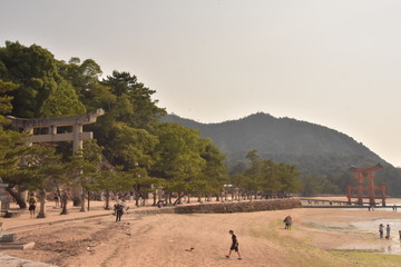 海辺に立つ堂々たる鳥居　厳島神社（広島）