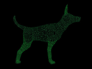 Wireframe polygonal dog