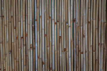 Bamboo wall or Bamboo fence texture background.