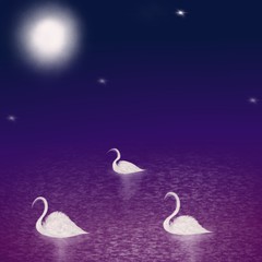 swans in the night illustration abstract background.