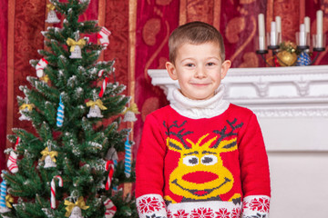 cheerful, concept, festive, happiness, december, merry, winter, lifestyle, brown hair, sweater, smiling, happy, decoration, cute, beautiful, little, celebration, people, portrait, mood, childhood, boy