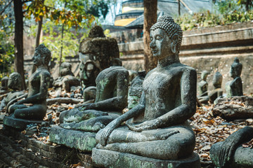 Fototapeta na wymiar Buddha of Wat Umong Temple in Chaing Mai, Thailand