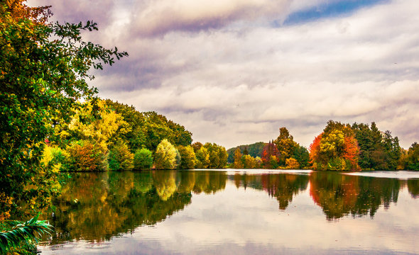 herbstbilder bl&auml;tter sonnenschein herbst