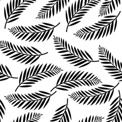 Seamless pattern with tropical palm leaves  on white background. Botanical illustration