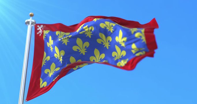 Flag of department of Sarthe in the region of Pays de la Loire, France. Loop