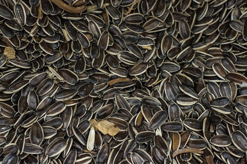 Black sunflower seeds, square organic background