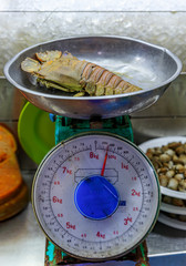 Oriental slipper lobster Thenus orientalis flathead lobster or crayfish weighed for a customer in...