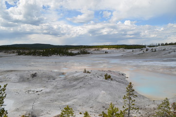 Late Spring in Yellowstone National Park: Edge of Swiss Cheese Pool, Small Spring and Western Side...