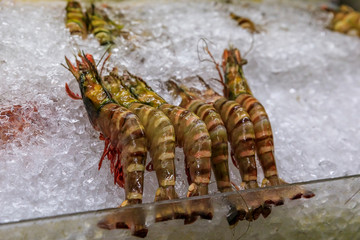 Large prawn or shrimp grilled with roasted garlic and lime on a plate with chopsticks at a hawker stall in Singapore