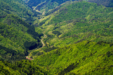 新緑の面白山紅葉川渓谷と仙山線のパノラマ