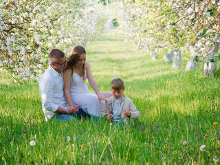 Fototapeta premium family with a child in blooming apple trees in the garden