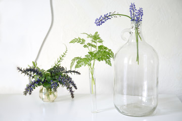 Blue Muscari flowers in a large glass wine bottle with a handle next to a delicate green leaf and next to the forest flowers of Ajuga. On a white table, on a light background of the wall