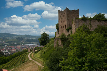 Fototapeta na wymiar Blick auf die Schauenburg oberhalb von Oberkirch