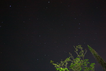 mis estrellas favoritas