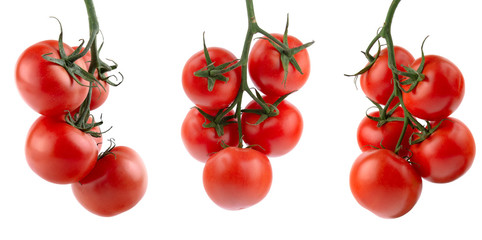 ripe tomatoes on the vine, white insulated background