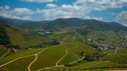 Obraz premium Weinberge bei Durbach in der ortenau im frühling