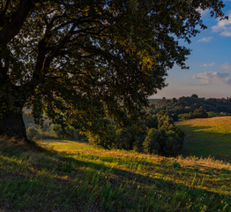 Tratturi di campagna