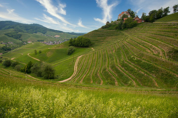 Schloss Staufenberg in Durbach
