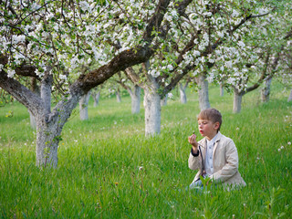 boy on the grass near blooming apple trees in the garden