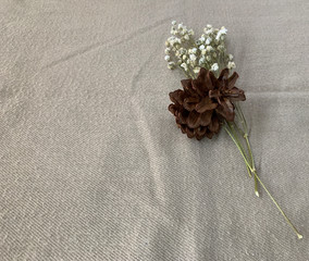 Dried flowers used as decorations with isolated background