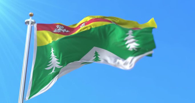 Flag of department of Vosges in the region of Grand Est, France. Loop