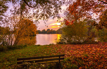 herbstbilder blätter sonnenschein herbst