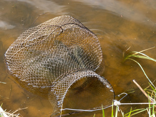 fish net in the water, fishing as a leisure concept, water and dry reed texture