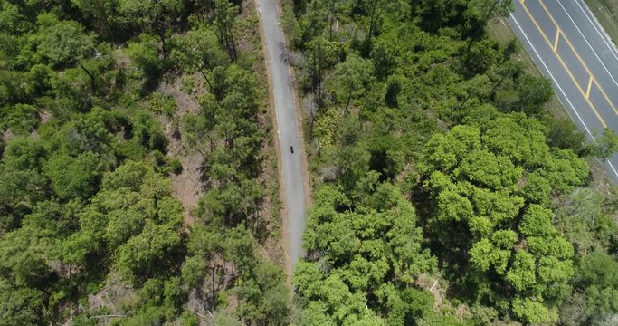 Cyclist on cycle path through wooded area, descending to canopy level, panning up to sky