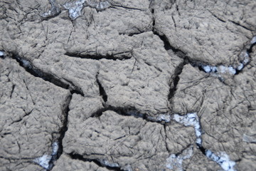 Dry Earth