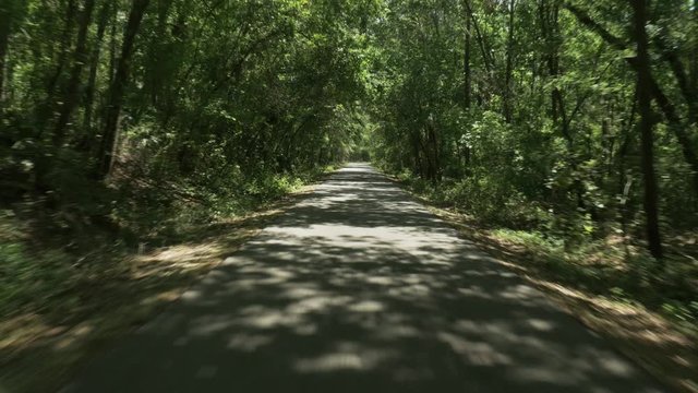 Fast tracking shot along path in dense woodland with sunshine just making it through canopy