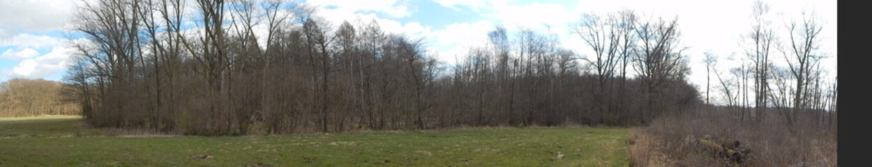 Obraz premium horse on a farm