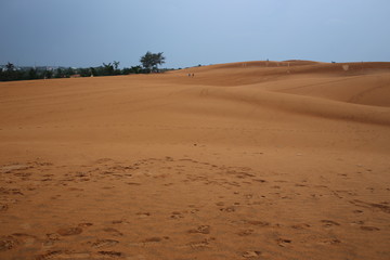 sand dunes in vietnam