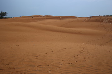 Sand Dunes in Vietnam