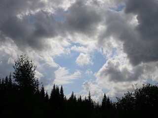 Obraz premium Wild Nature of Russia