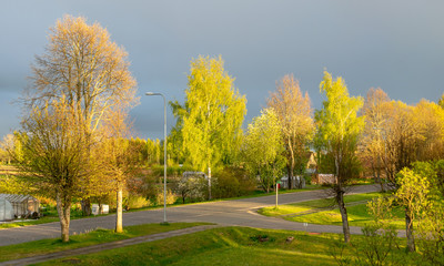 colorful landscape with colorful trees in the evening light, a small village view of the street